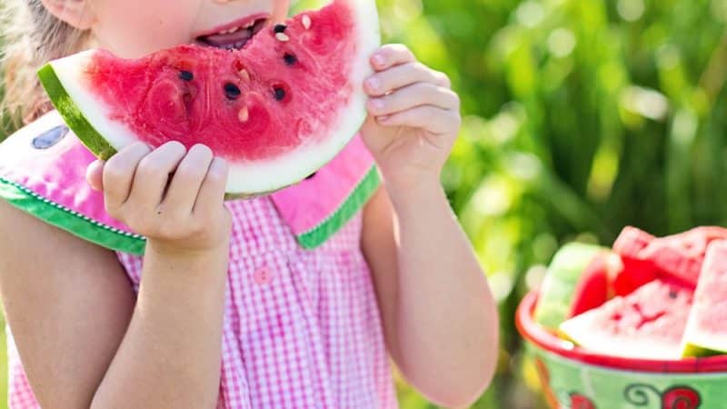 Little girl eating watermelon